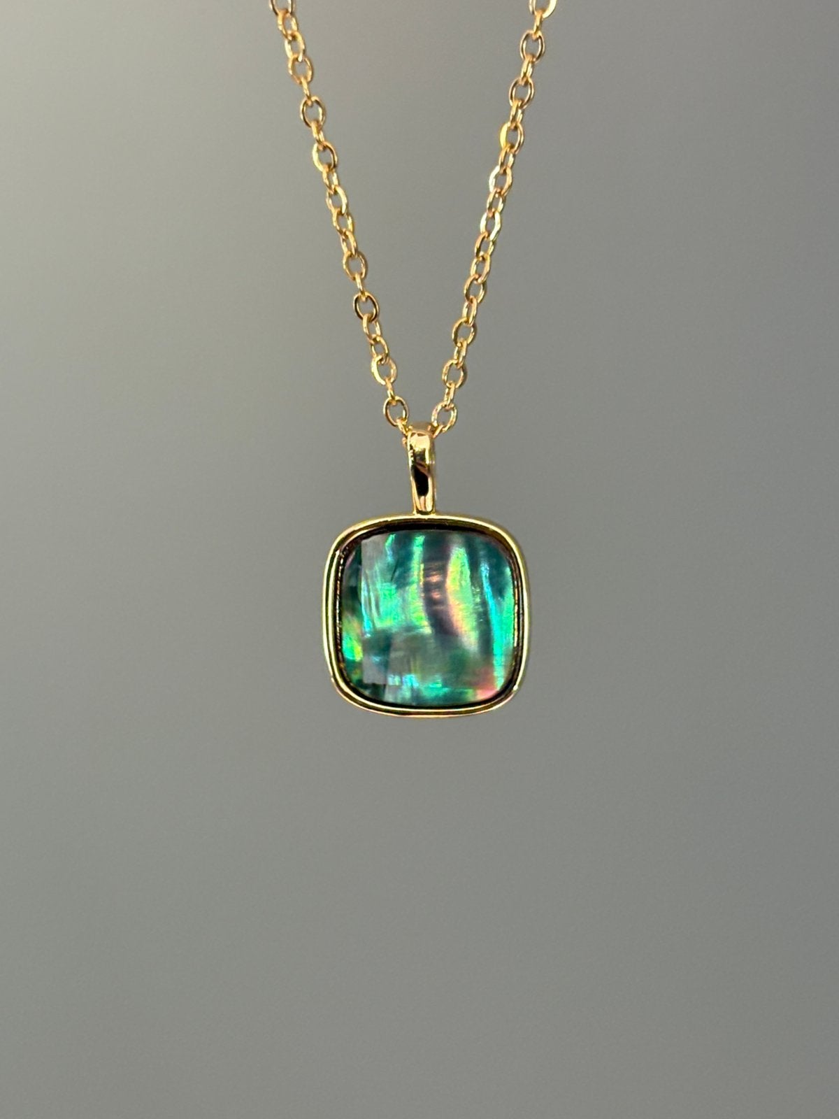 Abalone schelp hanger met goudkleurige ketting, Overige materialen, Overige voorstellingen, Nieuw, Cariadgems@hotmail.com