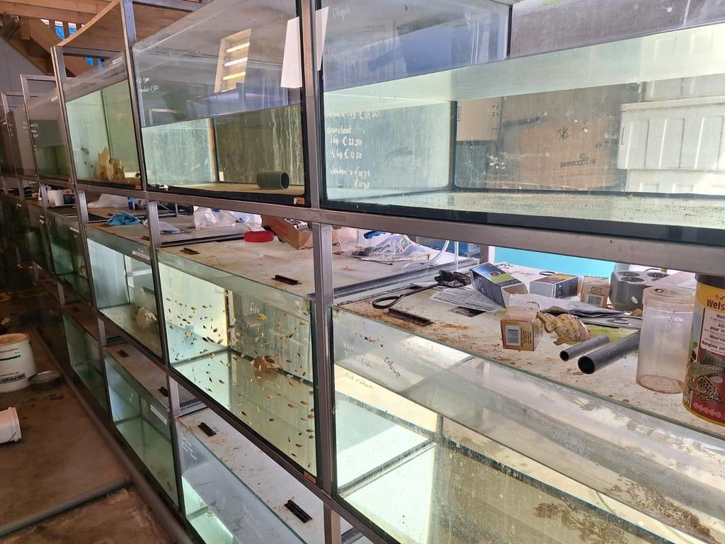 Kweekstellingen, Dieren en Toebehoren, Ophalen, Gebruikt, Leeg aquarium
