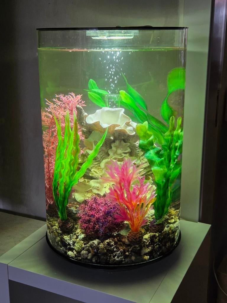 Biorb Tube 30 liter aquarium, Ophalen of Verzenden, Zo goed als nieuw, Leeg aquarium