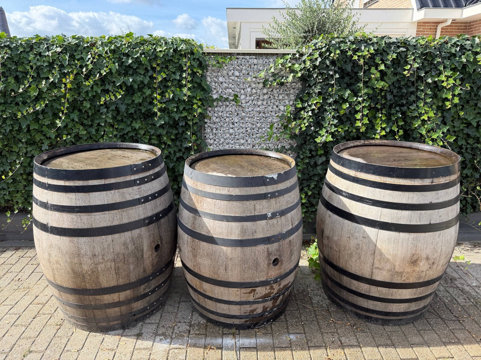 Eiken Wijnvaten: 2x 550L, 1x 500L - Gebruikt, Ophalen, Gebruikt