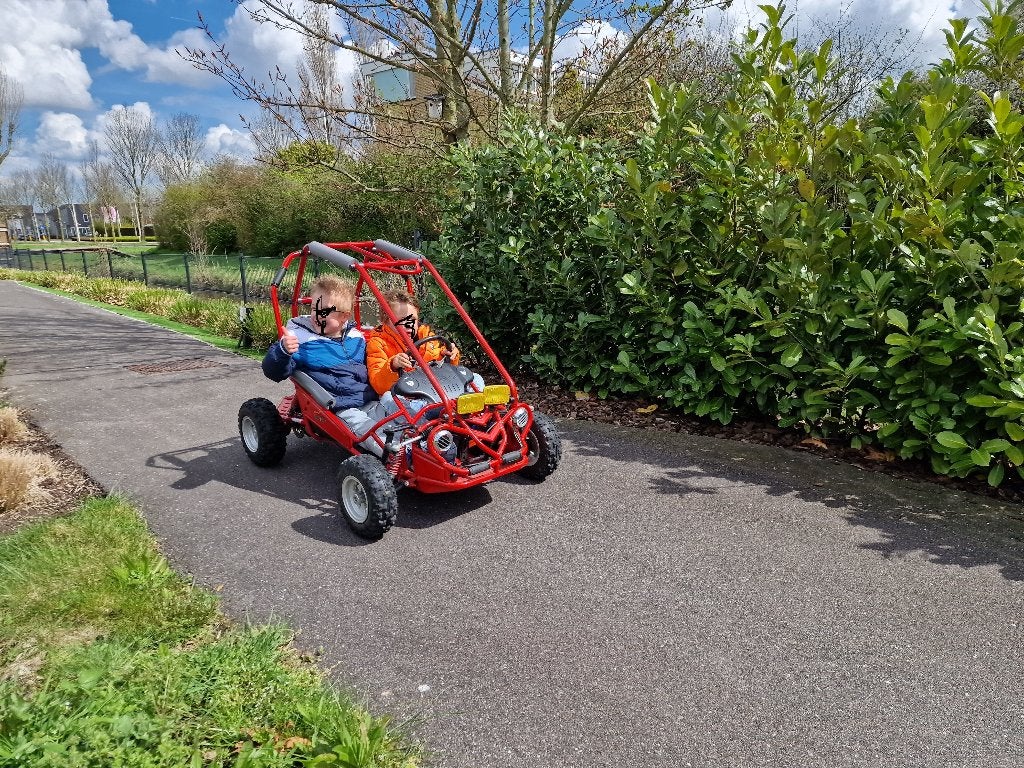 Buggy Hammerhead met 4 takt benzine motor, Ophalen