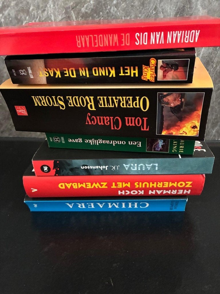 lees boeken, Boeken, Thrillers, Zo goed als nieuw, Ophalen of Verzenden