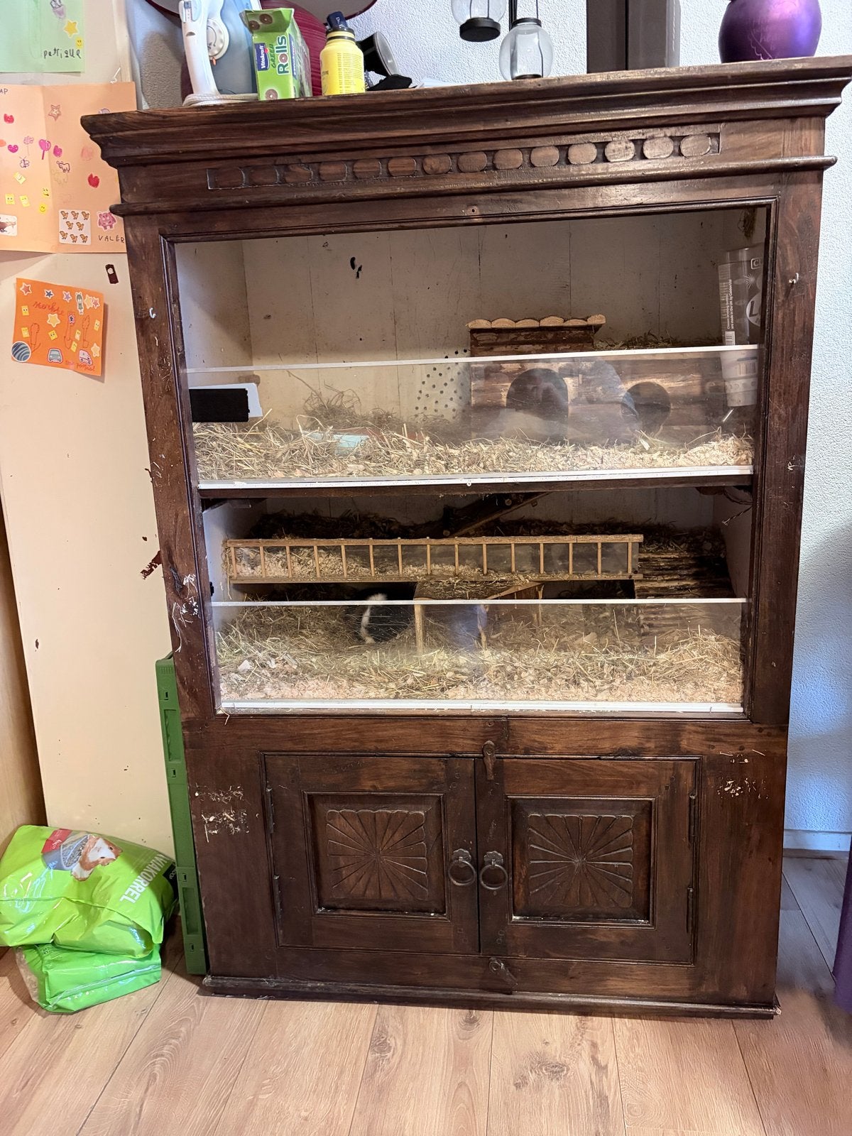 Cavia flat, Ophalen, Gebruikt, Overige typen