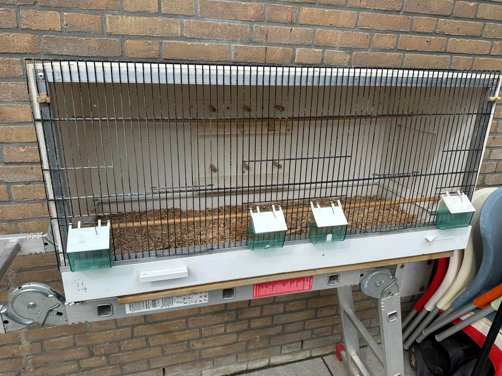 Broedkooi, Dieren en Toebehoren, Vogels | Hokken en Kooien, Ophalen, Gebruikt, Hout, Broedkooi of Kweekkooi