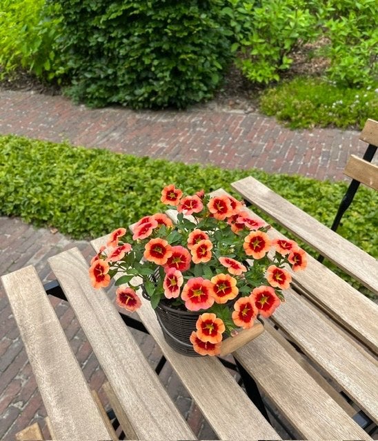 Metalen draadijzeren bloempotje met houten klosje, Rond, Ophalen of Verzenden, Zo goed als nieuw, Metaal