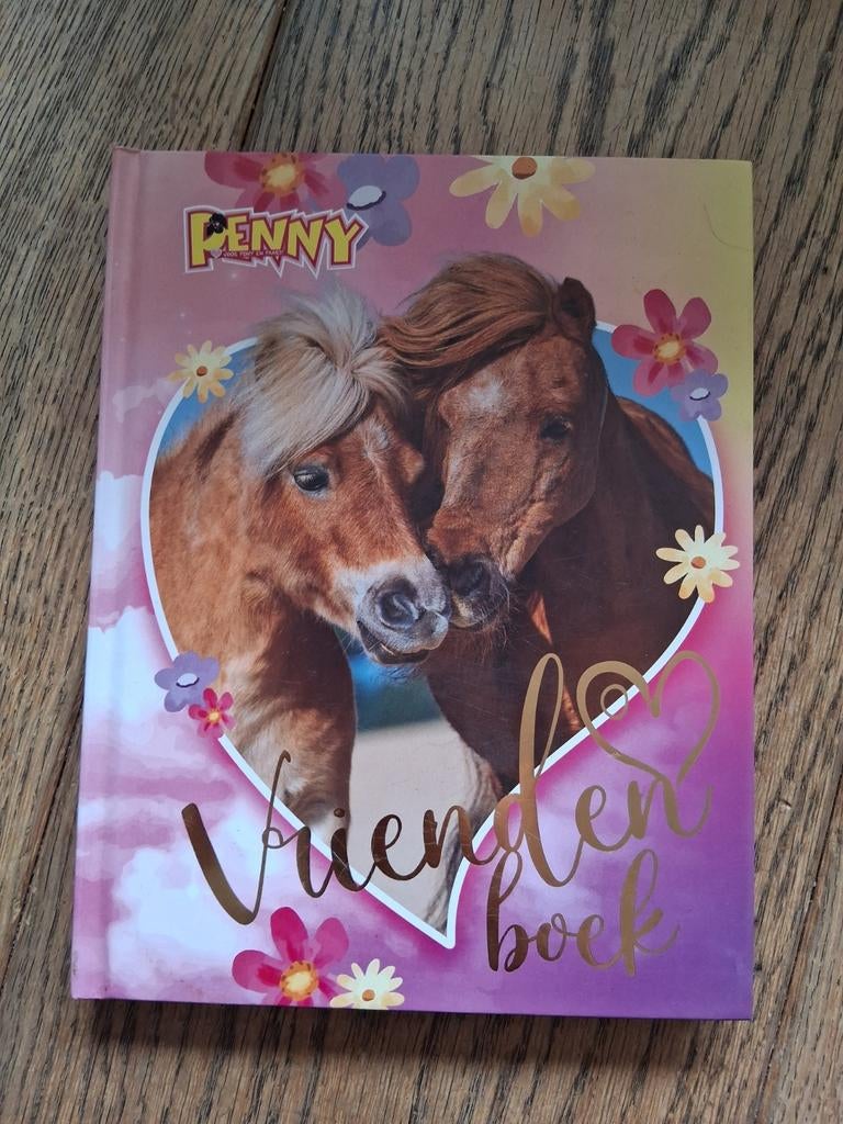 Penny Vriendenboek - Nog niet ingeschreven, Boeken, Ophalen, Zo goed als nieuw, Penny, Fictie algemeen