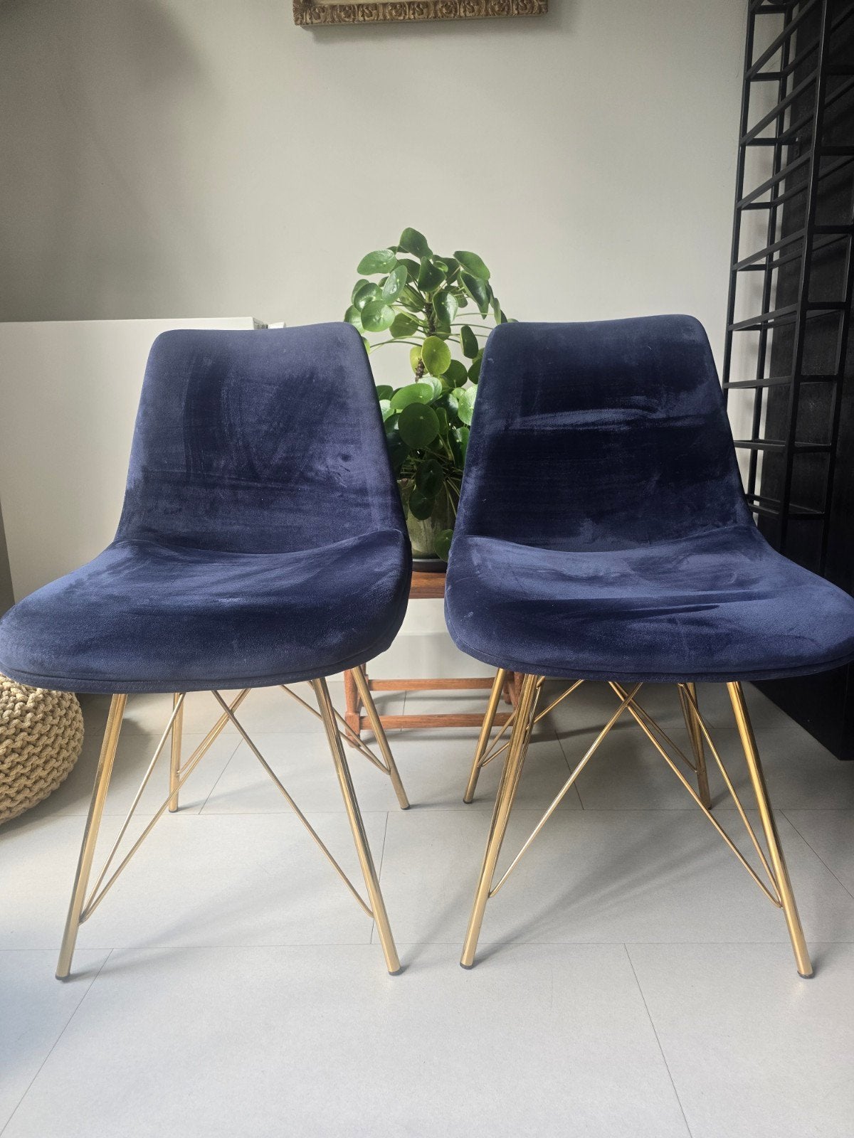 Twee fluwelen stoelen - Blauw met gouden poten, Ophalen, Twee, Blauw, Zo goed als nieuw
