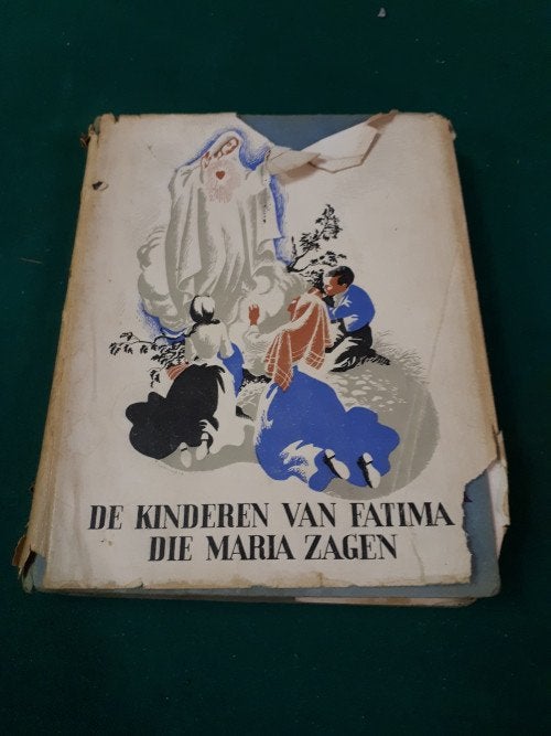 boek de kinderen van fatima die maria zagen, Ophalen of Verzenden