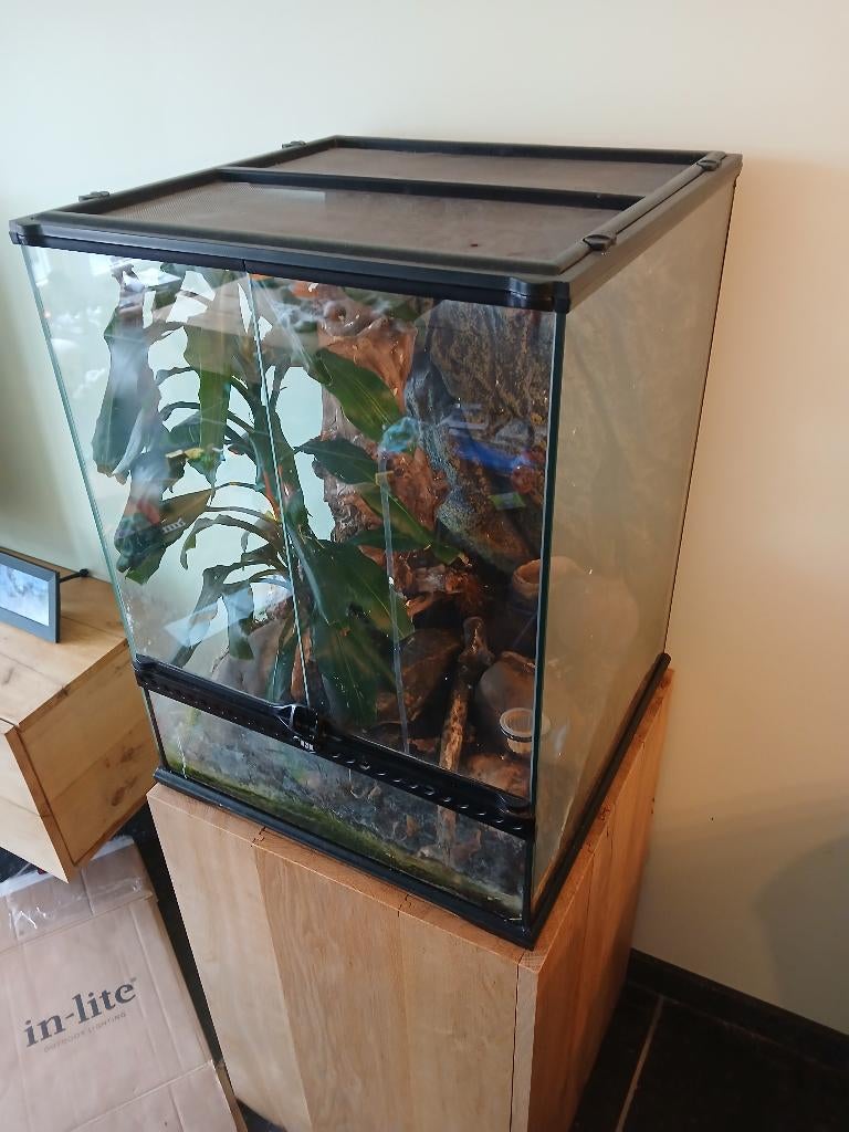Exo terra terrarium hok met bewoners, Ophalen, Zo goed als nieuw, Terrarium of Paludarium