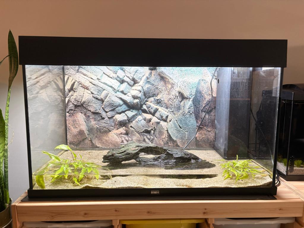 Juwel Rio 128 Led aquarium inc. Toebehoren, Ophalen, Gebruikt, Verwarming, Leeg aquarium