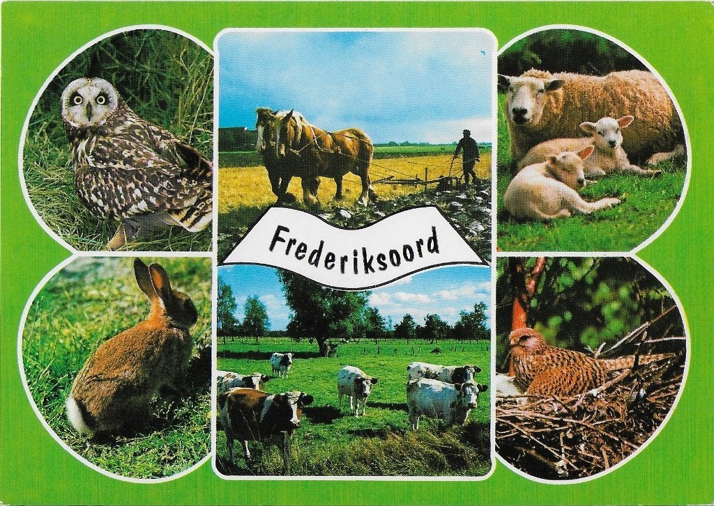 F13 Ongelopen ansichtkaart frederiksoord, Ophalen of Verzenden, 1980 tot heden, Ongelopen