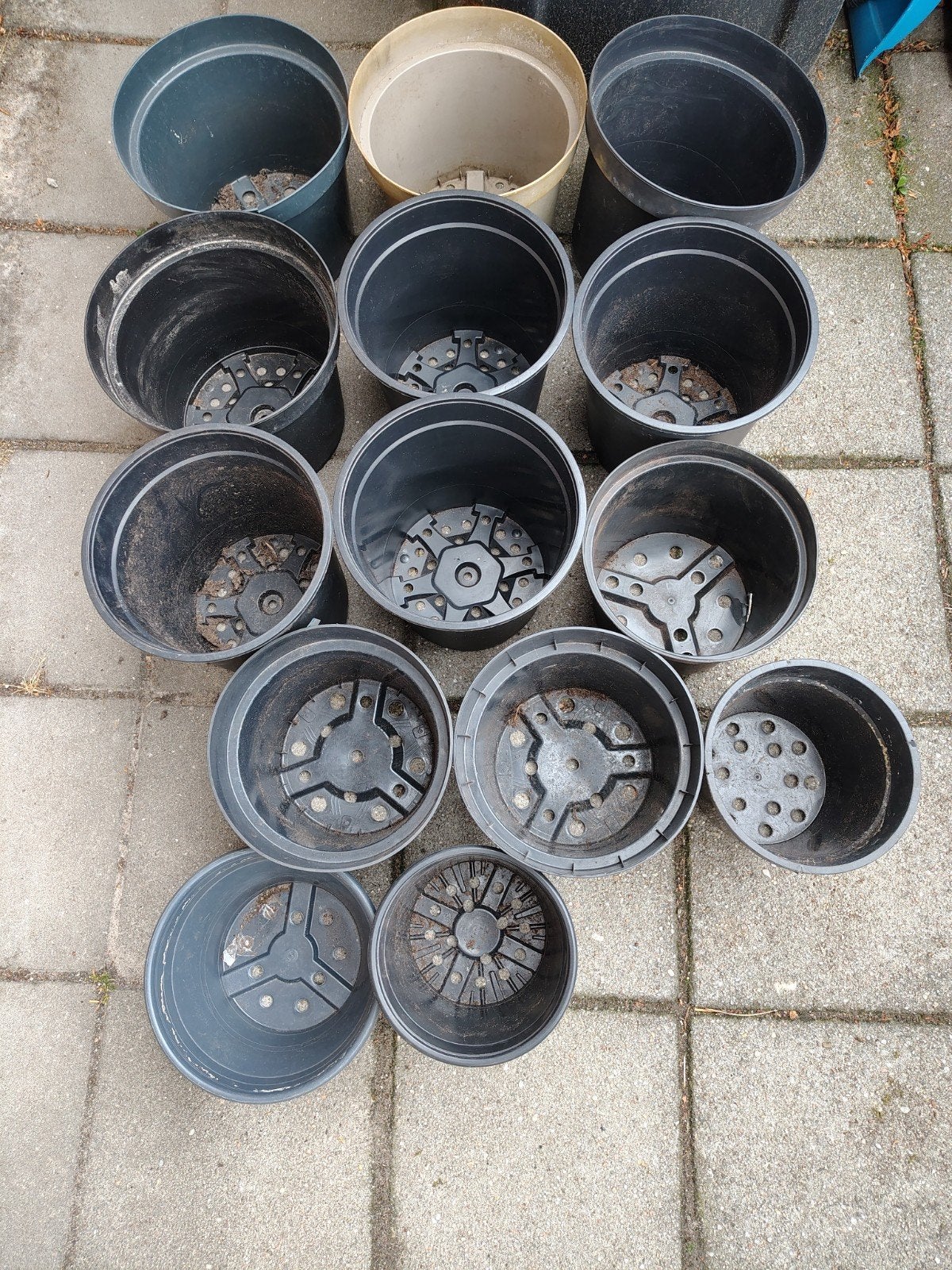 gratis op te halen plastic plant/ kweekpotten, Ophalen
