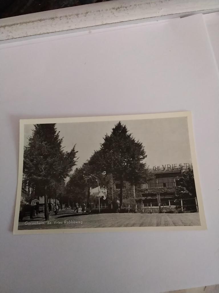GORINCHEM. DE VRIES ROBBEWEG, Ophalen of Verzenden, Voor 1920, Zuid-Holland