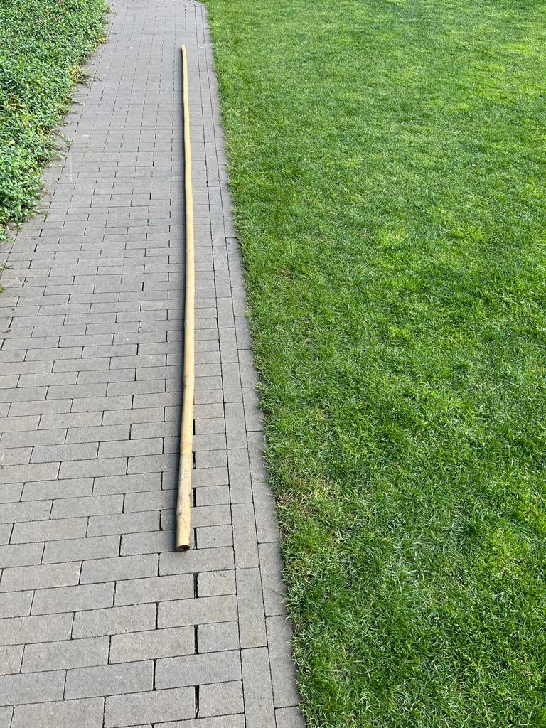 5 meter lange bamboestok voor boomondersteuning of decoratie, Tuin en Terras, Palen, Balken en Planken, Ophalen, Zo goed als nieuw