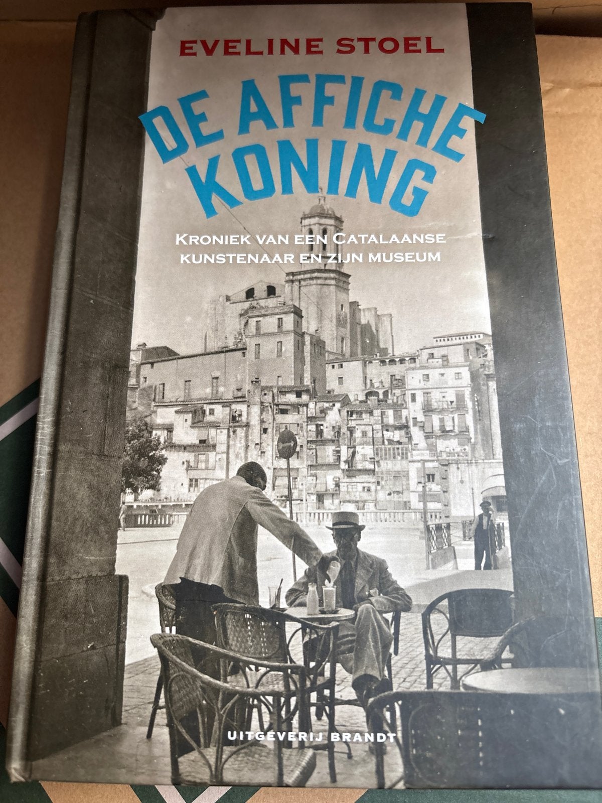 De Affiche Koning - Eveline Stoel (Krooniek van een Catalaan, Boeken, Ophalen of Verzenden, 20e eeuw of later, Nieuw