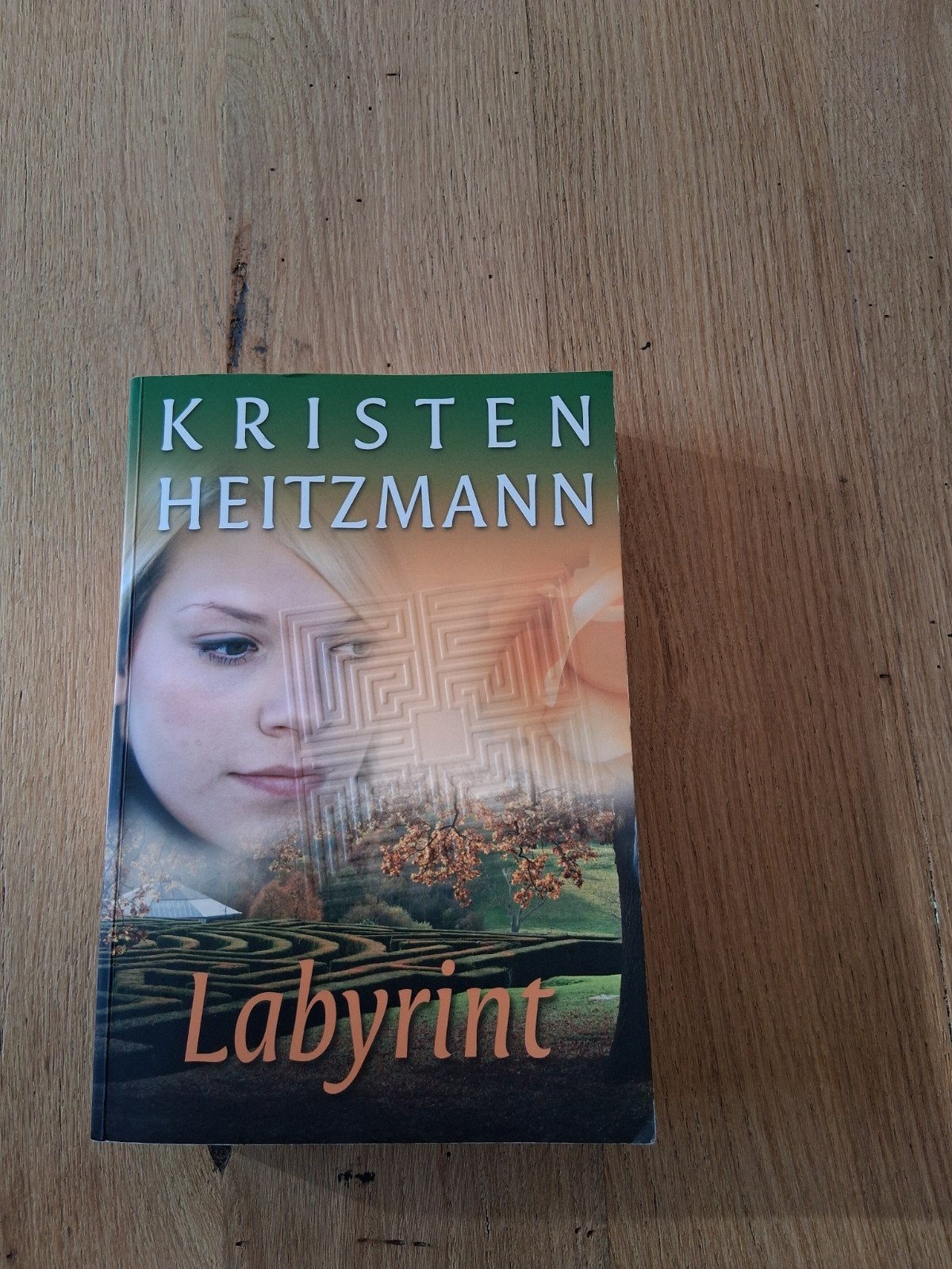 Labyrint, Boeken, Ophalen of Verzenden, Kristen Heidmann, Overige typen