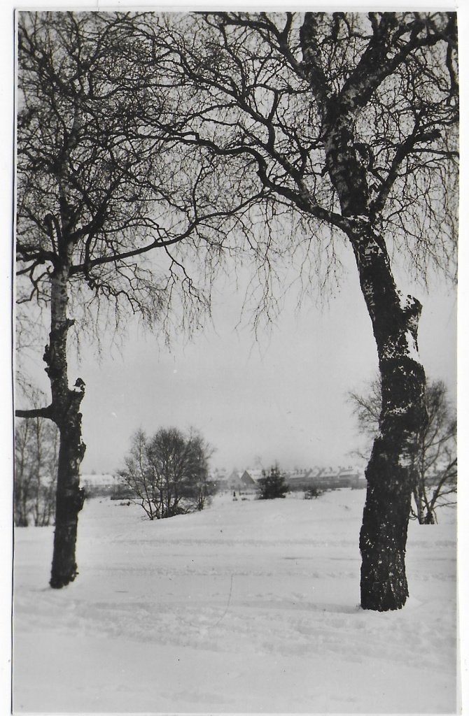 Nederland Sneeuw panorama Ansichtkaart uit 1951 ( B7181 ), Ophalen of Verzenden, 1940 tot 1960, Gelopen