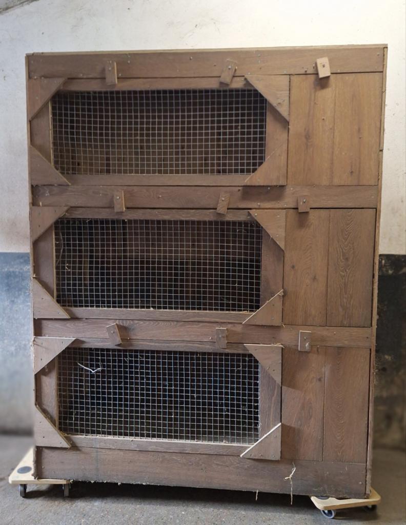 Luxe konijnen flat beschikbaar, Dieren en Toebehoren, Vogels | Hokken en Kooien, Ophalen, Zo goed als nieuw, Hout, Overige typen