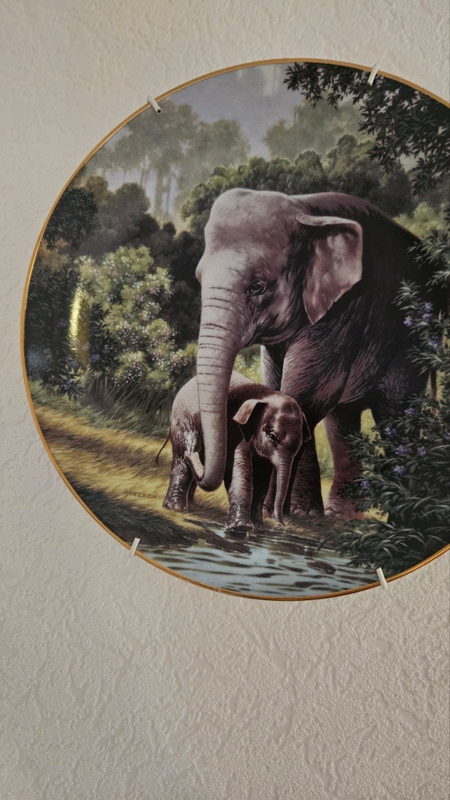 wandbord the asian elephant van will Nelson, Ophalen