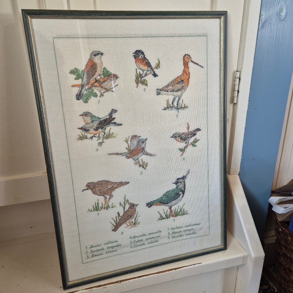 Vintage fijn borduurwerk ingelijst 9 vogels 58x42cm, 50 – 75, Minder dan 50 cm, Oorspronkelijke maker, Ophalen of Verzenden