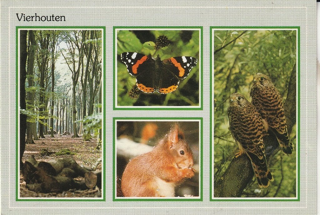 Vierhouten 1990, Ophalen of Verzenden, 1980 tot heden, Gelopen, Gelderland