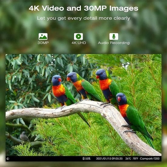 Foto 3 van Wildcamera – Trail Camera – Jachtcamera – Wildlife Camera