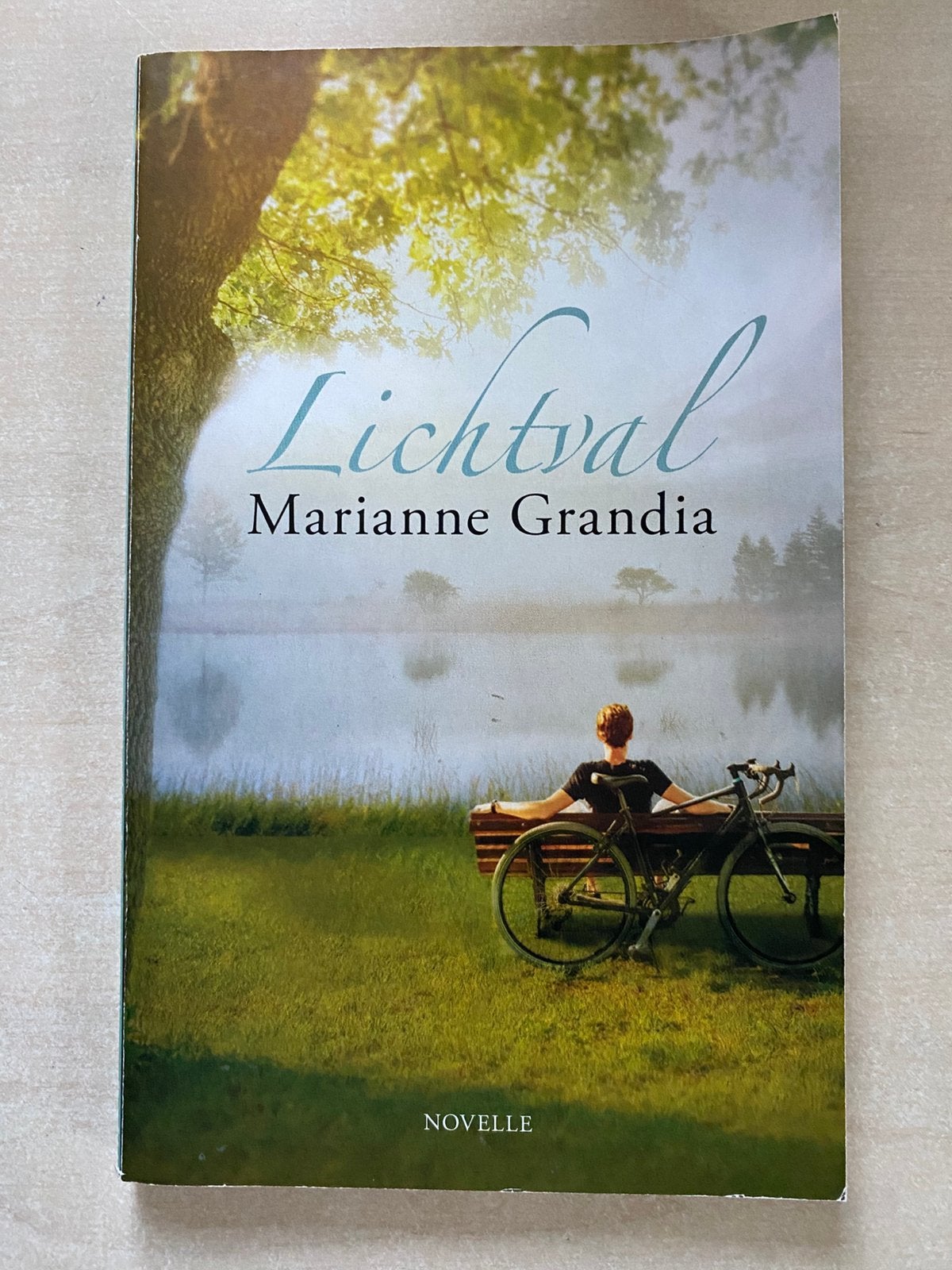 Lichtval (Marianne Grandia), Ophalen of Verzenden, Zo goed als nieuw