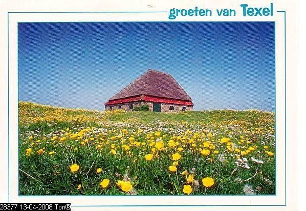 Ansichtkaart	Texel	Boterbloemen, Verzenden, 1980 tot heden, Gelopen, Waddeneilanden