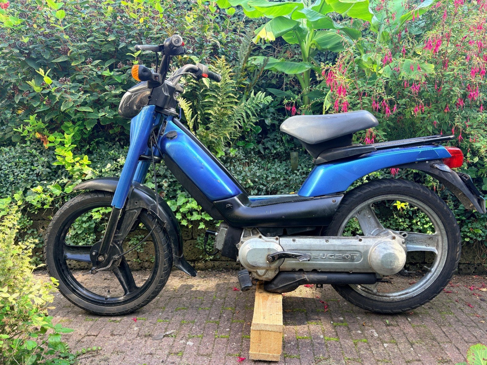 Peugeot Fox Bromfiets uit 2005, Ophalen, Gebruikt, Fox, Maximaal 25 km/u