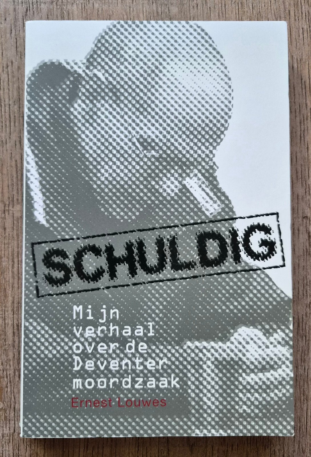 Schuldig - Ernest L, Ophalen of Verzenden, Zo goed als nieuw