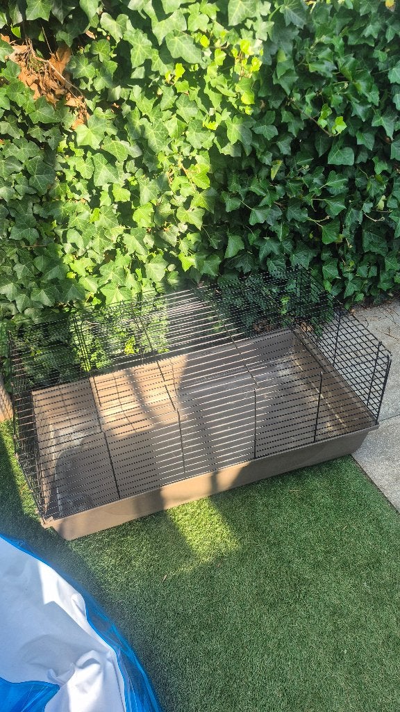 Knaagdier hok, Dieren en Toebehoren, Minder dan 60 cm, Gebruikt, Ophalen of Verzenden, Konijn