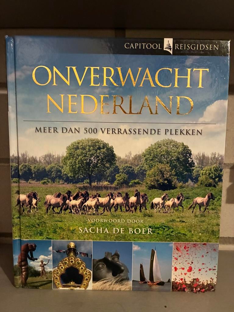Bartho Hendriksen - Onverwacht Nederland, Boeken, Capitool, Bartho Hendriksen, Ophalen of Verzenden, Zo goed als nieuw