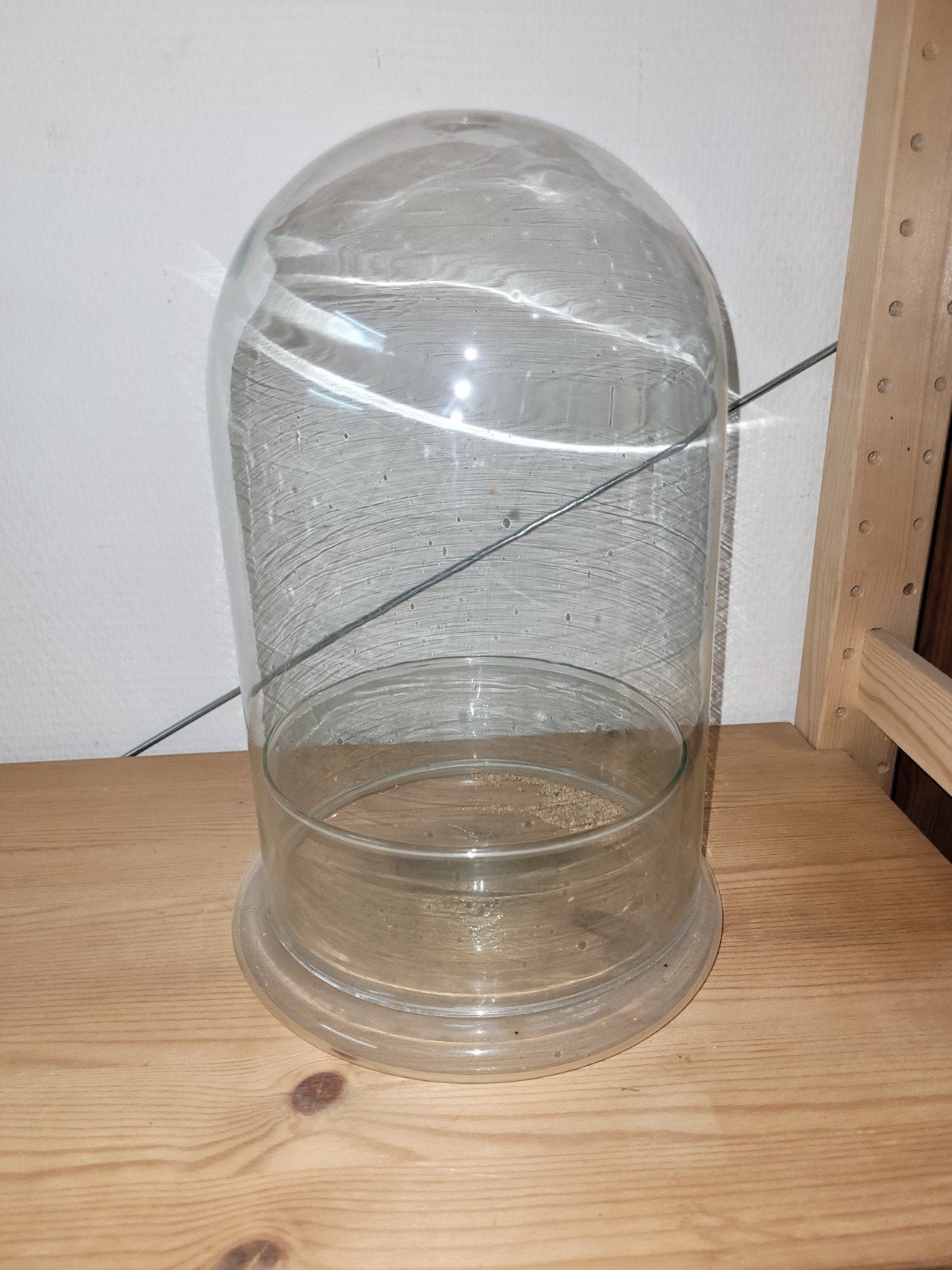 planten stolp of terrarium voor planten., Ophalen