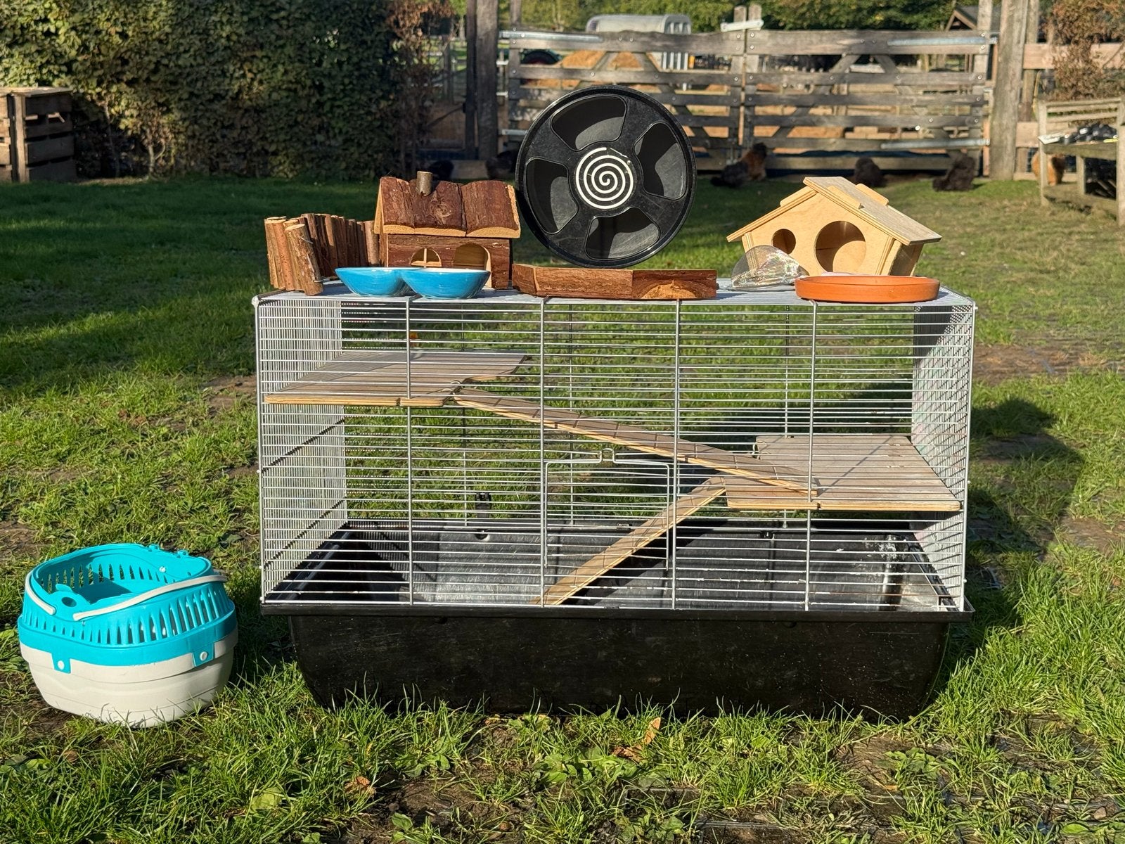 Hamsterkooi met toebehoren, Kooi, Zo goed als nieuw, Ophalen, Minder dan 60 cm