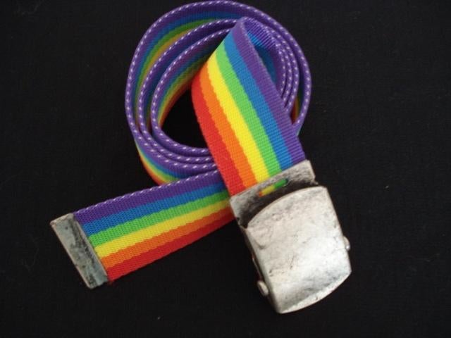 Regenboog riem en bruine bucle riem, Kleding | Heren, Riemen en Ceinturen, Overige kleuren, Zo goed als nieuw, Riem of Ceintuur