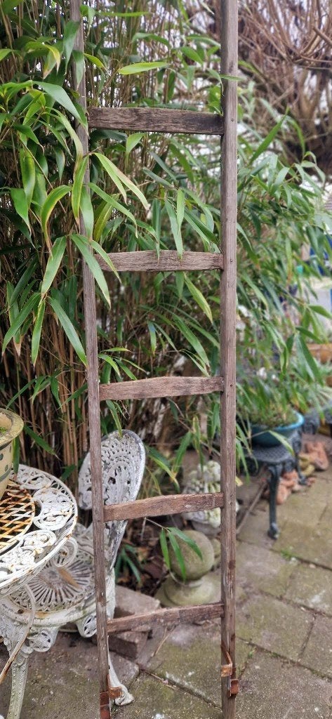 Super mooie ladder voor decoratie binnen of buiten(brocante), Ophalen, Gebruikt, Ladder, 2 tot 4 meter