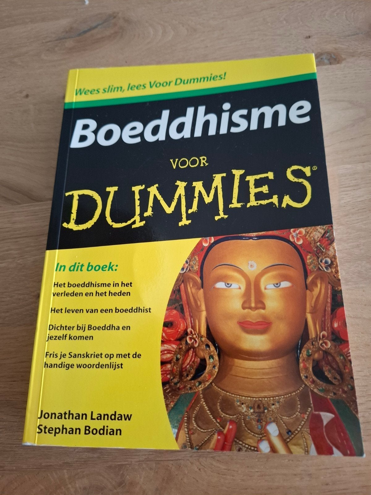 Boeddhisme voor Dummies - Jonathan Landaw & Stephan Bodian, Gelezen, Jonathan Landaw, Stephan Bodian, Achtergrond en Informatie