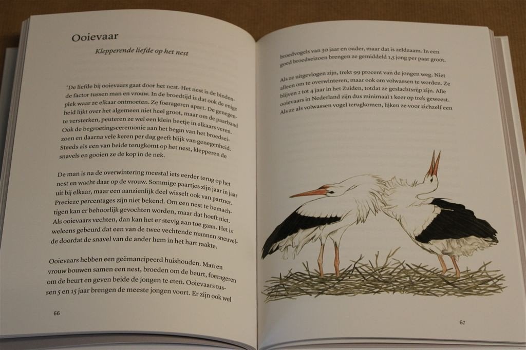 Vogels en de liefde. KNNV Uitgeverij., Ophalen of Verzenden, Zo goed als nieuw, Vogels