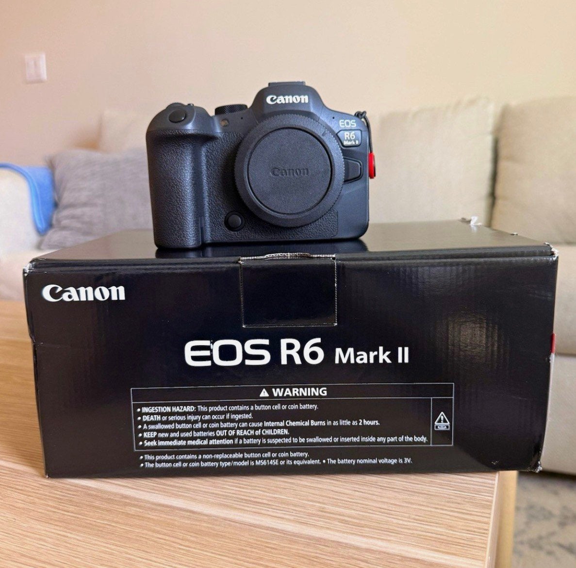 Foto 8 van Canon EOS R6 MARK II