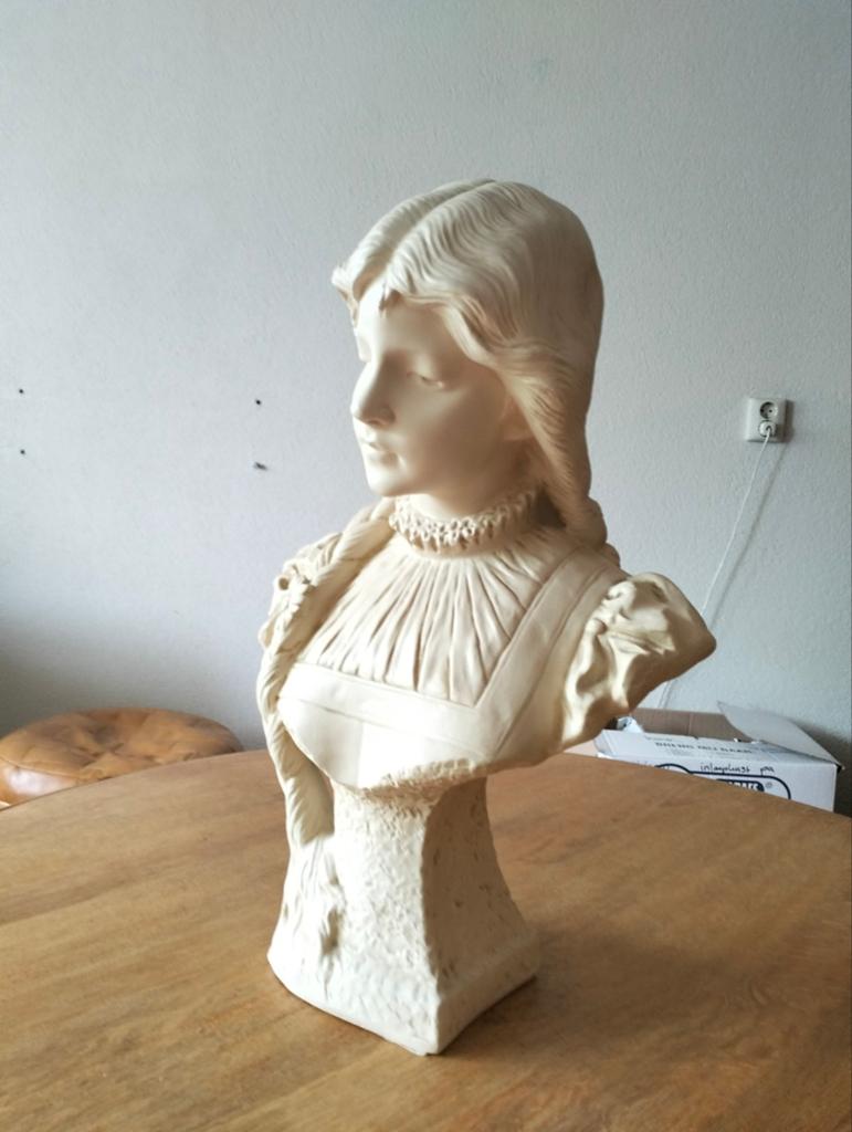 Borstbeeld, Ophalen of Verzenden, Dier