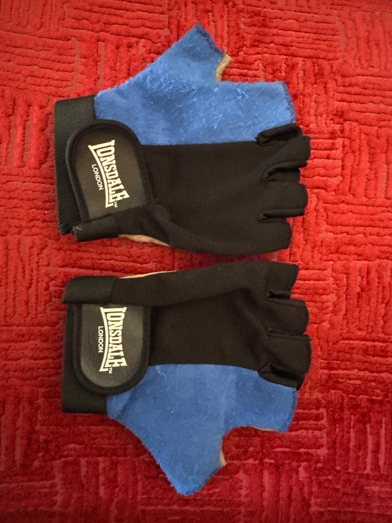 Gym gloves, Sport en Fitness, Ophalen of Verzenden, Zo goed als nieuw, Bokshandschoenen