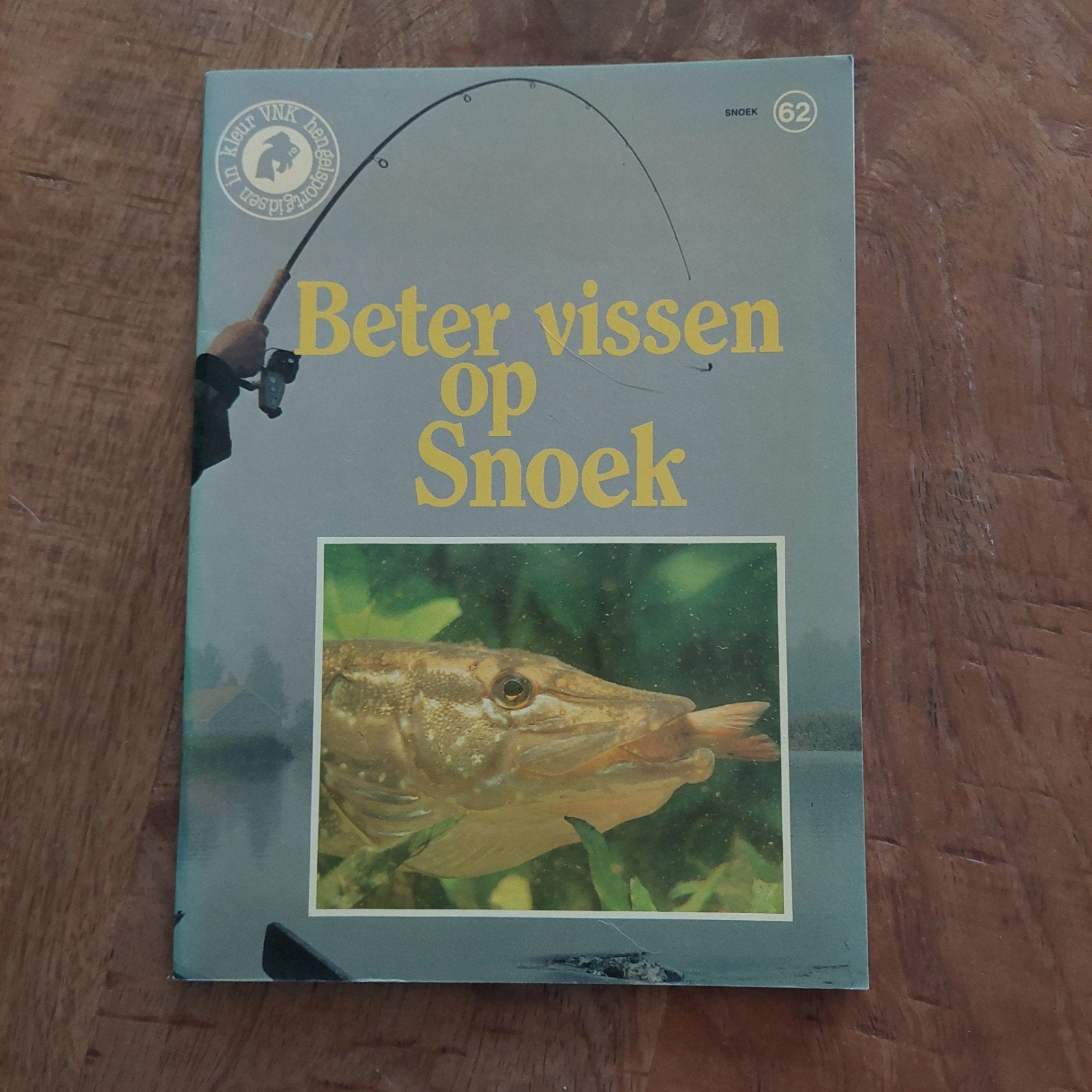 Beter vissen op Snoek - Hengelsportgids, Watersport en Boten, Hengelsport | Roofvissen, Ophalen of Verzenden