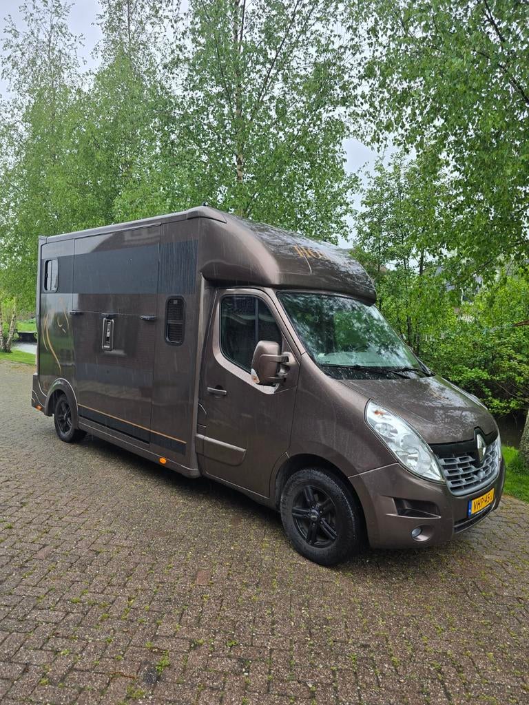 Renault master horsetruck met dubbele cabine, Ophalen of Verzenden, Gebruikt, Overige materialen, Overige typen