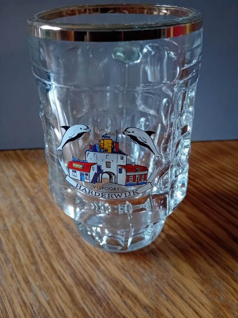 Bierpul Vispoort van Harderwijk met 2 dolfijnen-Dolfinarium, Ophalen of Verzenden, Zo goed als nieuw, Bierglas
