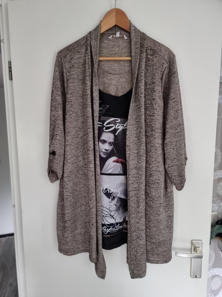 Dun vest met zwart shirt, maat XXL, Ophalen of Verzenden, Gedragen, Maat 46/48 (XL) of groter, Grijs