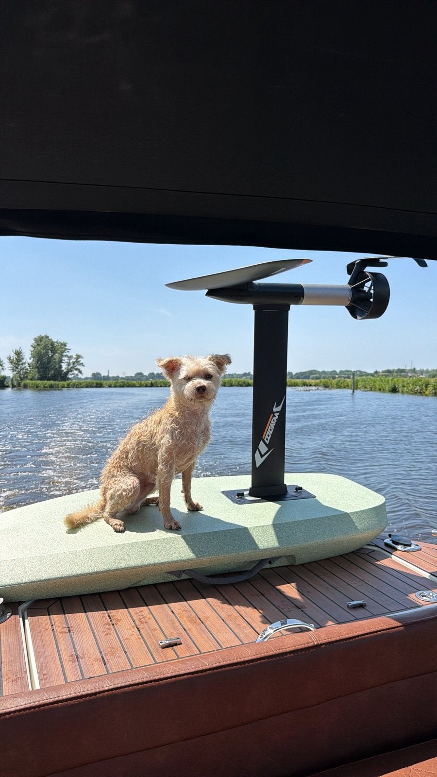 Hagelnieuwe Waydoo Evo Pro  - Deluxe set. Efoil e foil, Watersport en Boten, Ophalen, Zo goed als nieuw, Wingsurf-wing