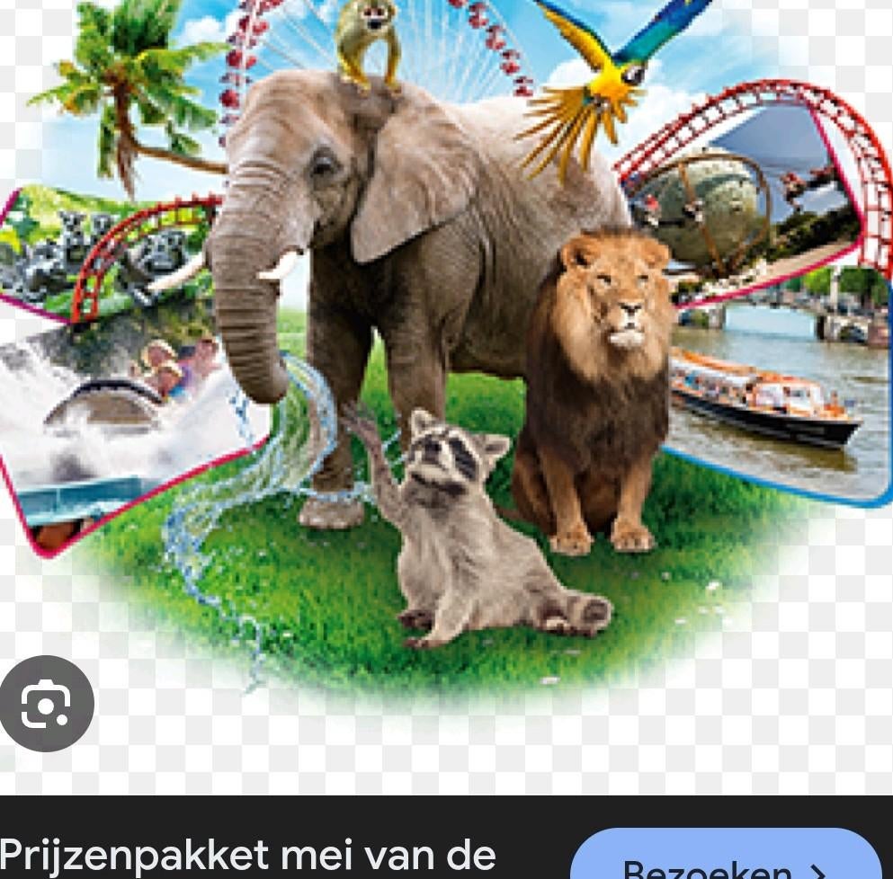 Dag je uit, 1 speler, Ophalen of Verzenden, Zo goed als nieuw, Vanaf 3 jaar