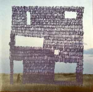 2LP Hania Rani ‎– Home, Cd's en Dvd's, Verzenden, 2020 tot heden, 12 inch, Dubbel-LP