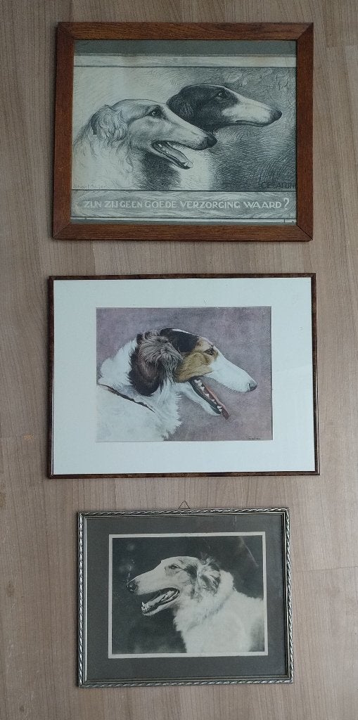 Set van 3 barzoi prenten / schilderijen, gesigneerd, Ophalen, 1980 tot heden, Zo goed als nieuw