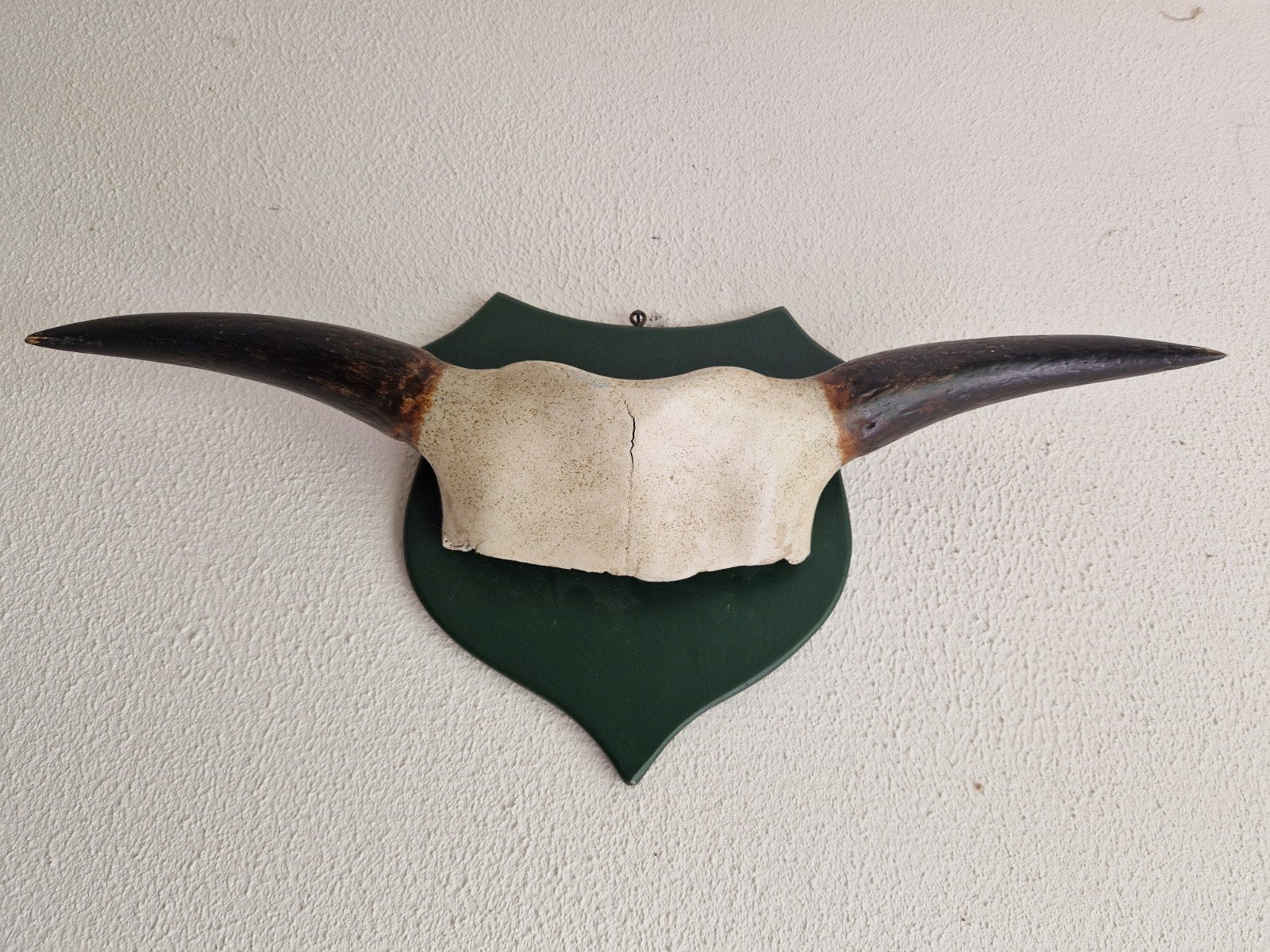 Trophy, Ophalen of Verzenden, Beeldje of Figuurtje